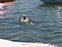 Back to the Beach 2009 (3).jpg
